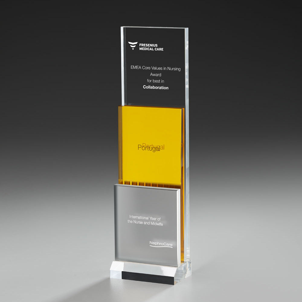 Golden Step Award 73454