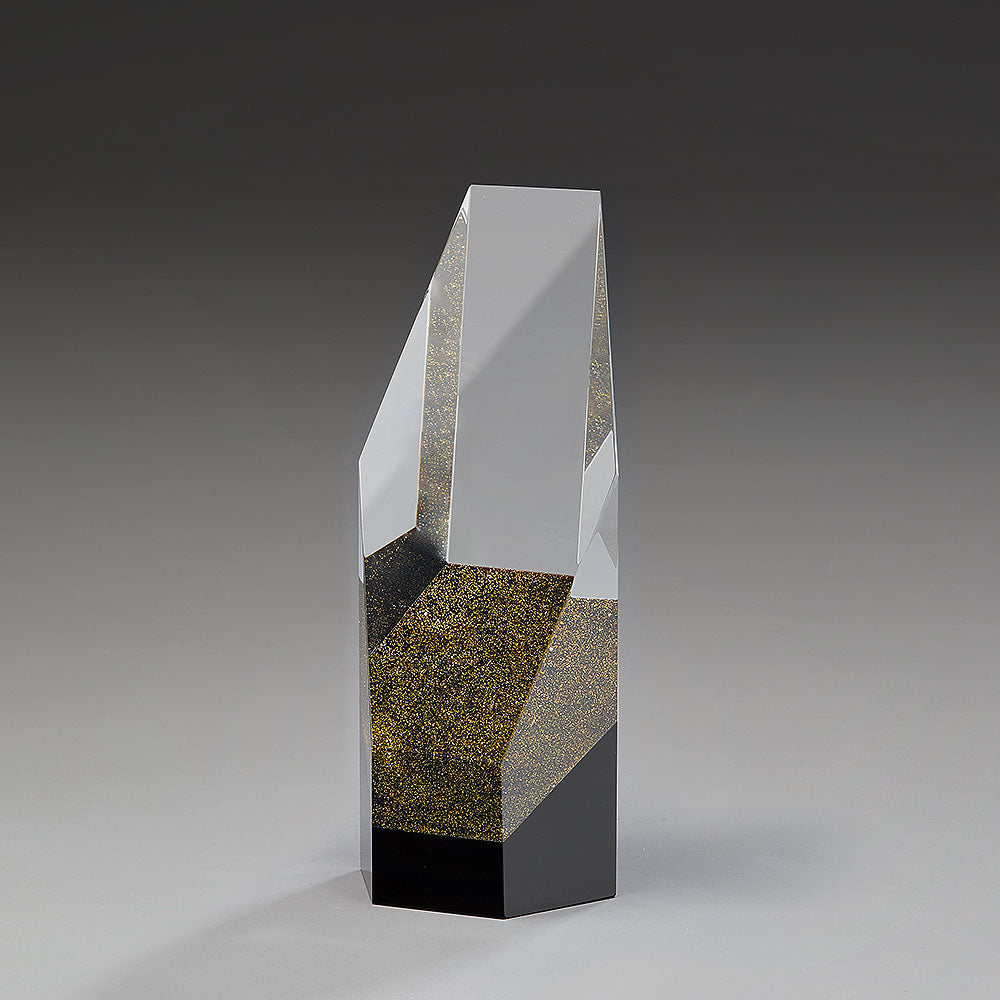 Aria Award 79031