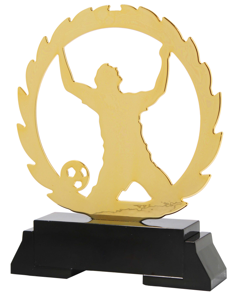 Fußball Pokal L235