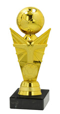 Pokal Fußball 19011
