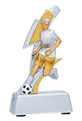 Fußball Pokal 25901
