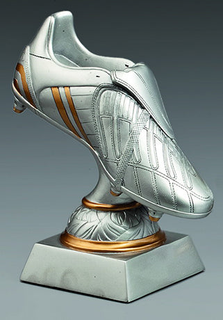 Fußball Pokal 3869x