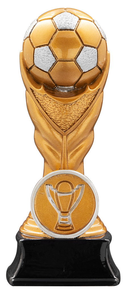 Fußball Pokal 3977x