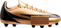 Fußball Pokal 3982x