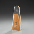 Aspen Award 59904