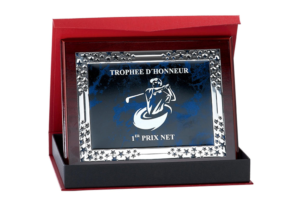 Ehrentafel 188-51 - 25x20 cm / Blau/Silber