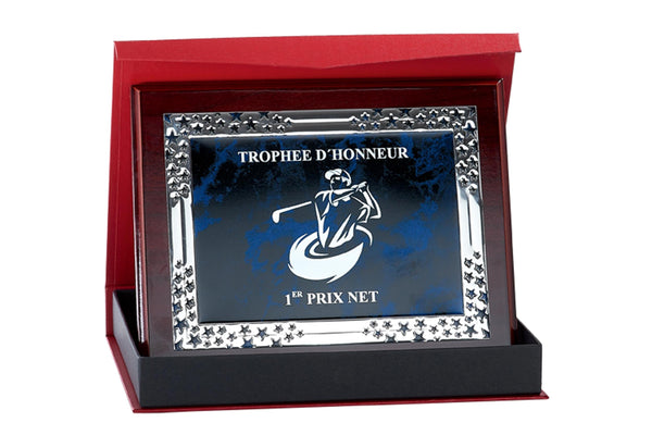 Ehrentafel 188-51 - 25x20 cm / Blau/Silber