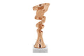 Mini Pokal TR02223 in Bronze