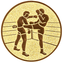 Emblem Boxen-Kickboxen (50mm Gold)