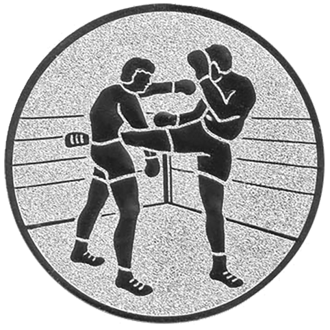 Emblem Boxen-Kickboxen (25mm Silber)