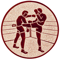 Emblem Boxen-Kickboxen (50mm Bronze)