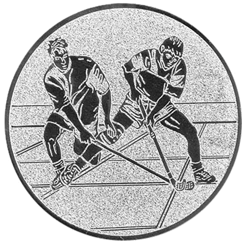 Emblem Hockey Indoor (50mm Silber)