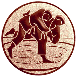 Emblem Judo (50mm Bronze)