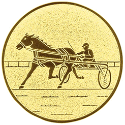 Emblem Trapprennen (50mm Gold)