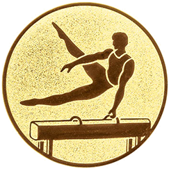 Emblem Turnen Herren (50mm Gold)