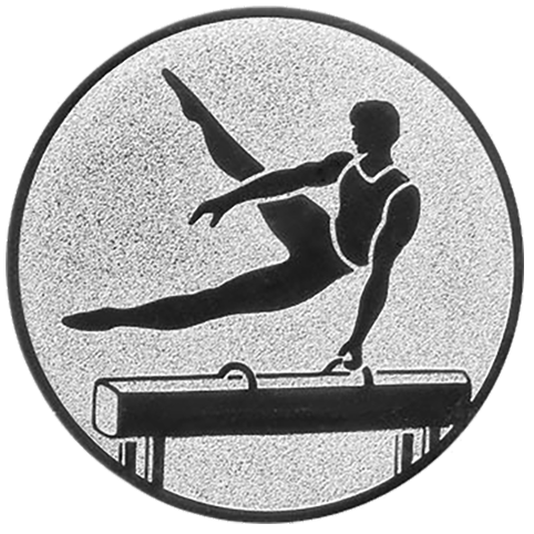 Emblem Turnen Herren (50mm Silber)