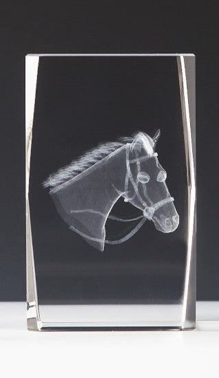 3D Pferd im Glasblock