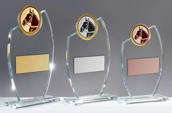 Glastrophäe 6825 Schild & Emblem - Gold / Transparent / 220x130mm