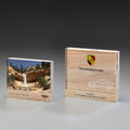 Wooden Magnet Award 7491