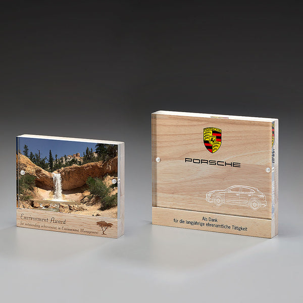 Wooden Magnet Award 7491