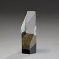 Aria Award 79031