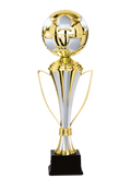 Fußballpokal 87-2