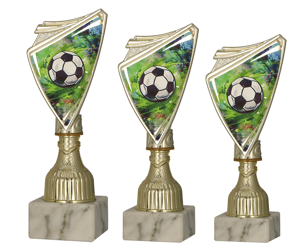 Fußball Pokal 