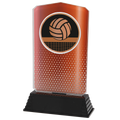 Pokal Volleyball AC100_AC023