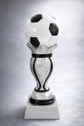 Fußball Pokal 38690