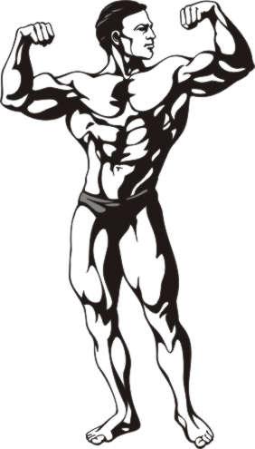 Gravur Vorlage Bodybuilding Mann