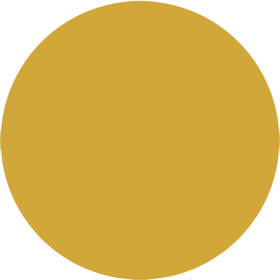 Aluminium-Emblem - 50 mm / Gold/Alu