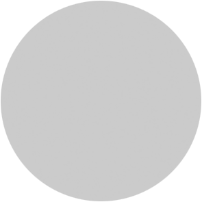 Aluminium-Emblem - 50 mm / Silber/Alu