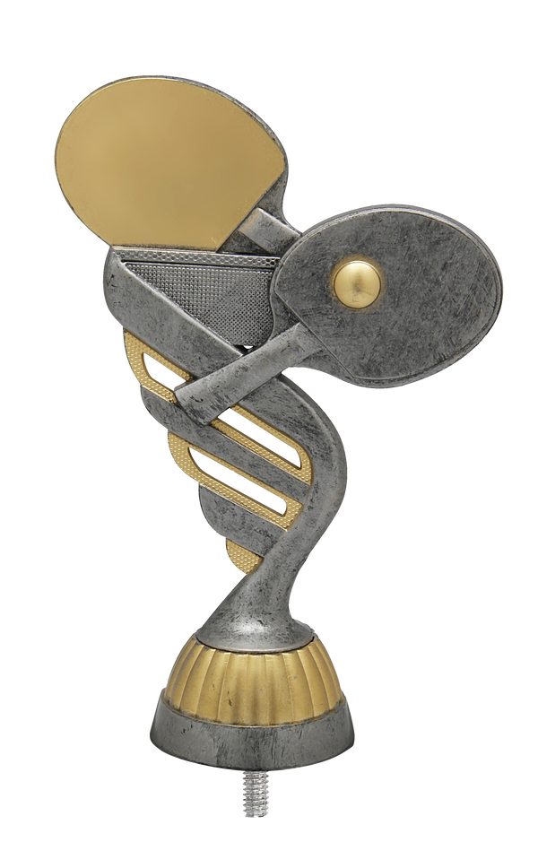 Pokalfigur Tischtennis P416 - Grau Gold / 16 cm