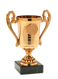 Mini Pokal 306