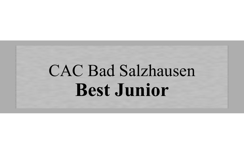 Gravurschild Silber selbstklebend - Silber / 50 x 15 mm