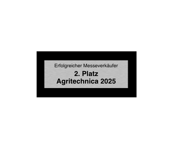 Hollywood Classic Award in Silber - Silber / 24 cm