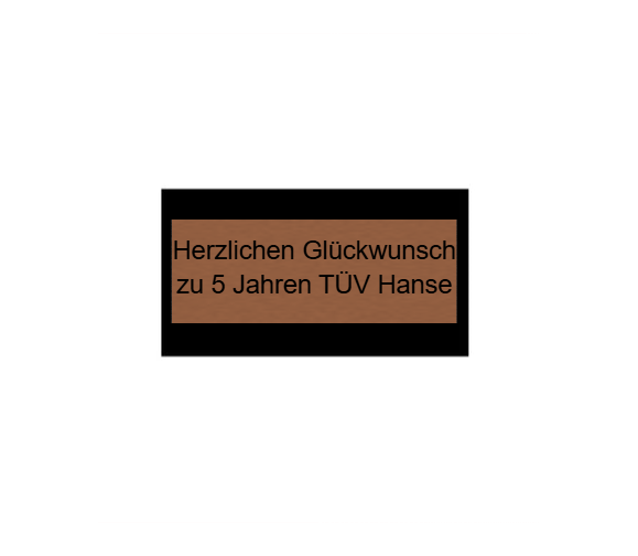 Hollywood Classic Award in Bronze - Bronze / 18 cm