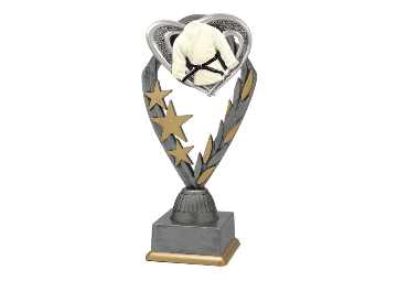 Judo Pokal PFS_006 - 22.5 cm / Silber Mehrfarbig