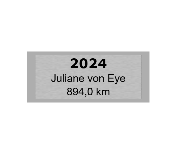 Gravurschild Silber selbstklebend - Silber / 60 x 25 mm