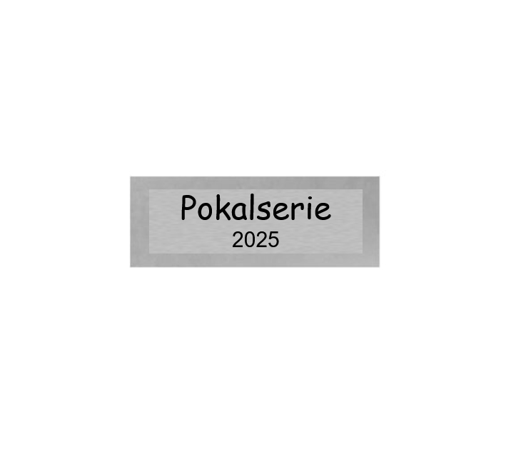 Dart Pokal PFS_009 - 21 cm / Silber Mehrfarbig