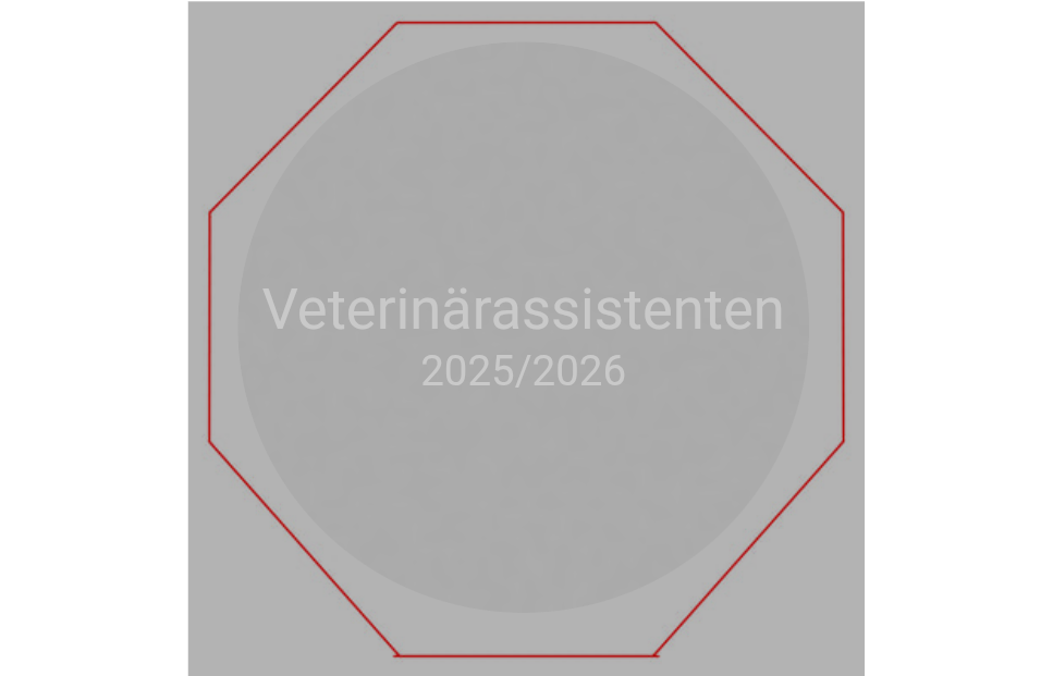 Glasmedaille GM67 Ø 75mm - Klar / 75 x 75mm / Lasergravur