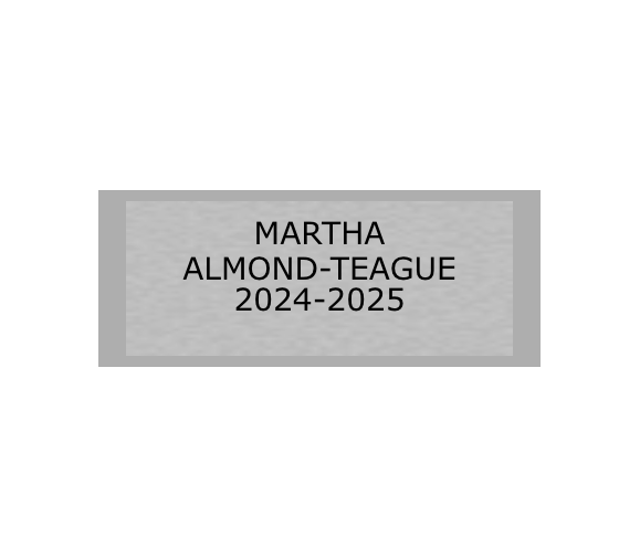 Gravurschild Silber selbstklebend - Silber / 50 x 20 mm