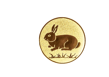 Medaille 080C Ø 70 mm - Bronze / 70 mm