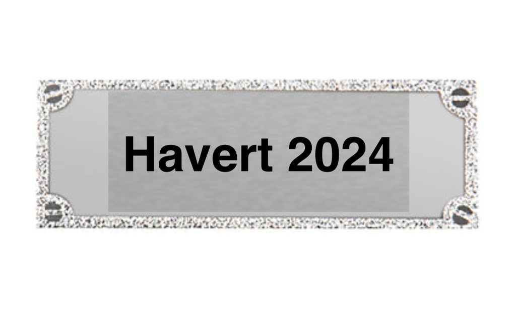 Gravurschild edel in Silber - Silber / 62 x 25 mm