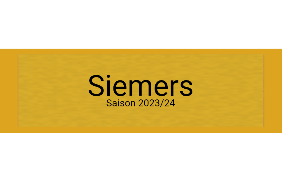 Gravurschild Gold selbstklebend - Gold / 50 x 15 mm