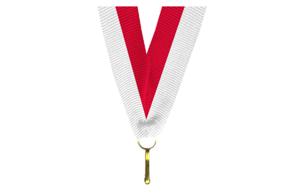 100er Pack Bänder Breite 22 mm / Länge ca. 400 mm - Weiss/Rot / 22x400mm