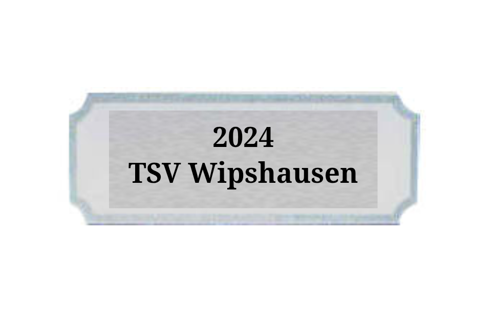 Gravurschilder mit Feinschliff - Silber / 49x18mm