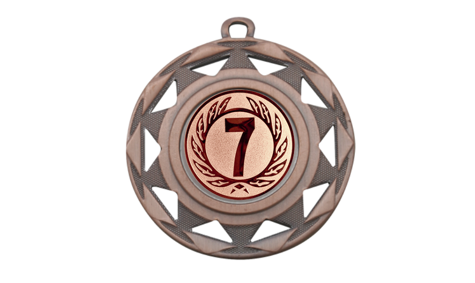 Medaille BS.ME94 Ø 50 mm - Bronze / 50 mm