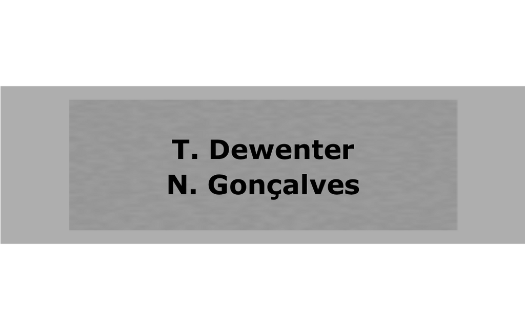 Edelstahl Serie Wien - Silber matt / 120x40mm