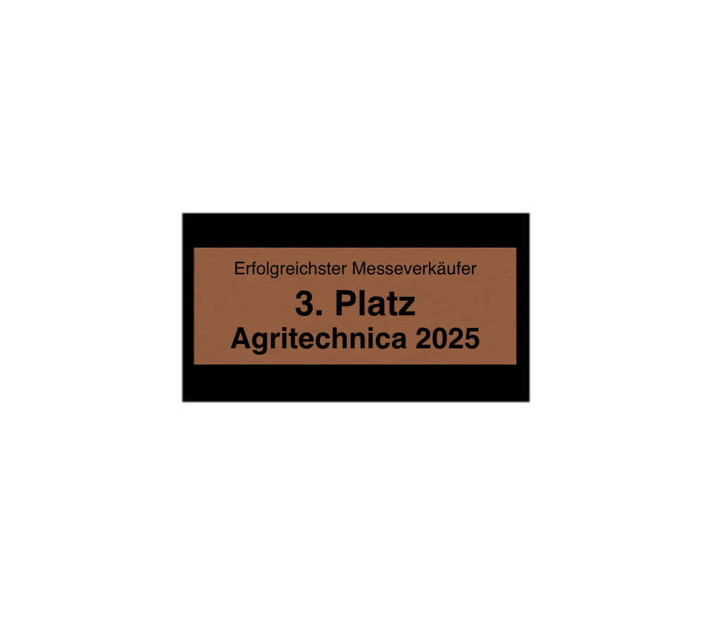 Hollywood Classic Award in Bronze - Bronze / 18 cm